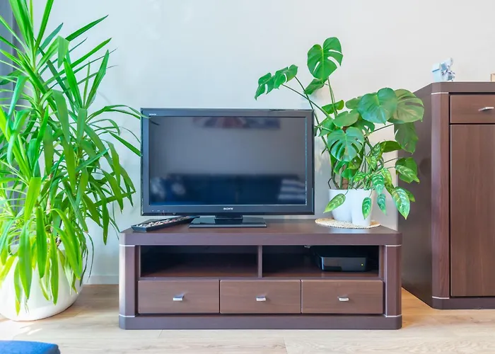 Apartament Anchor Przymorze